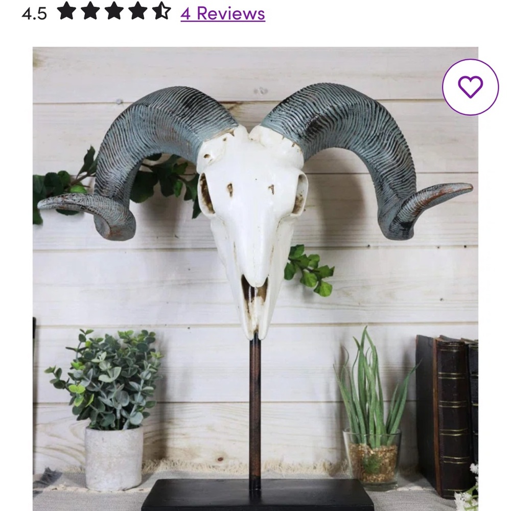 Decorative Ram Skull with Curved Horns